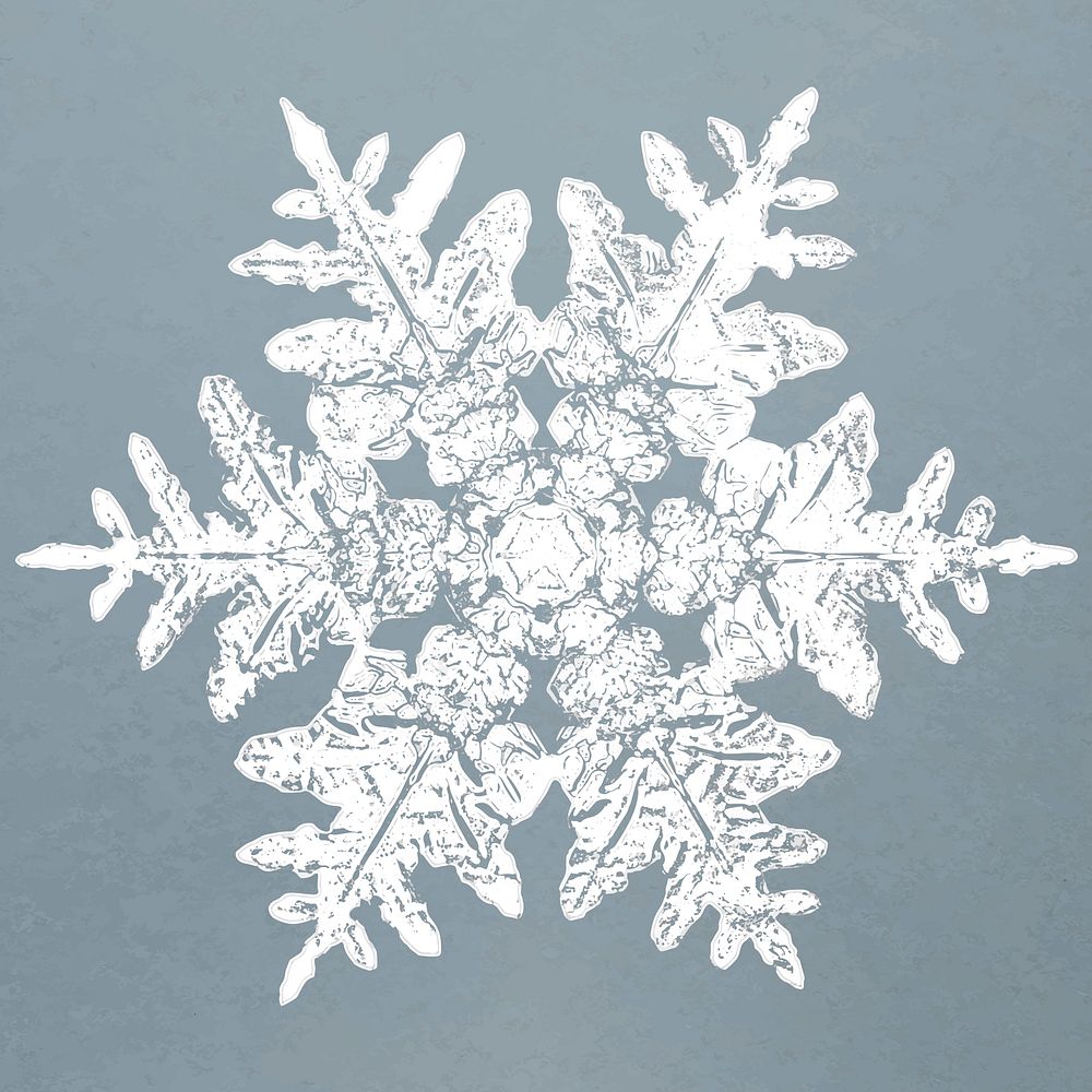 Realistic snowflakes element vector in blue background 