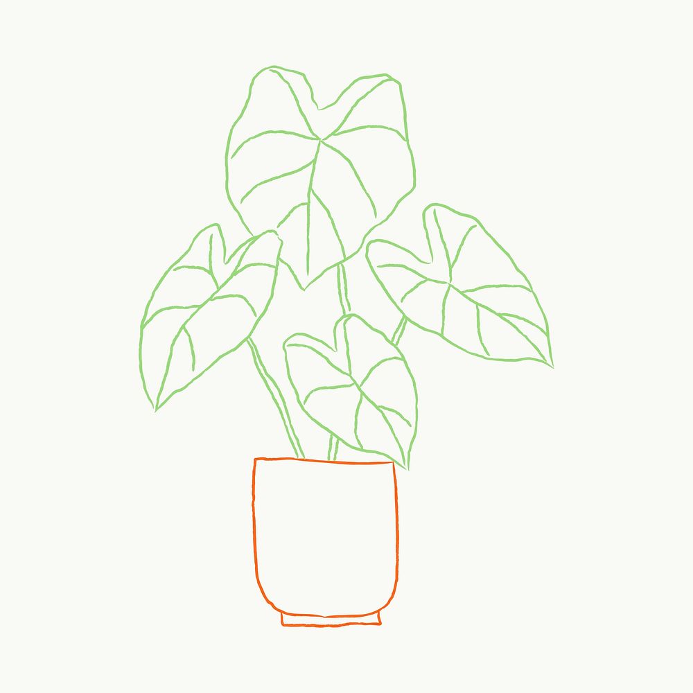 Potted plant houseplant doodle caladium 