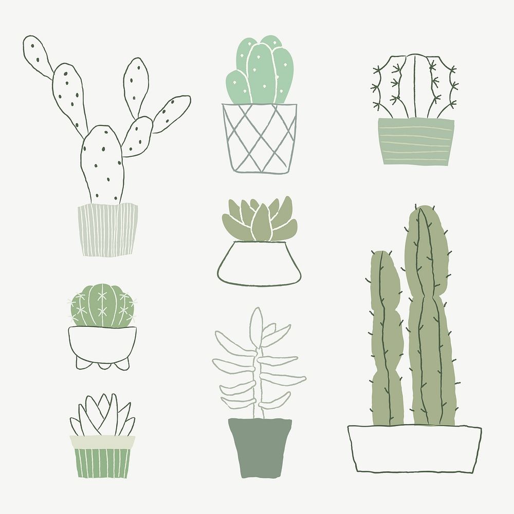 Houseplant cactus and succulent psd set