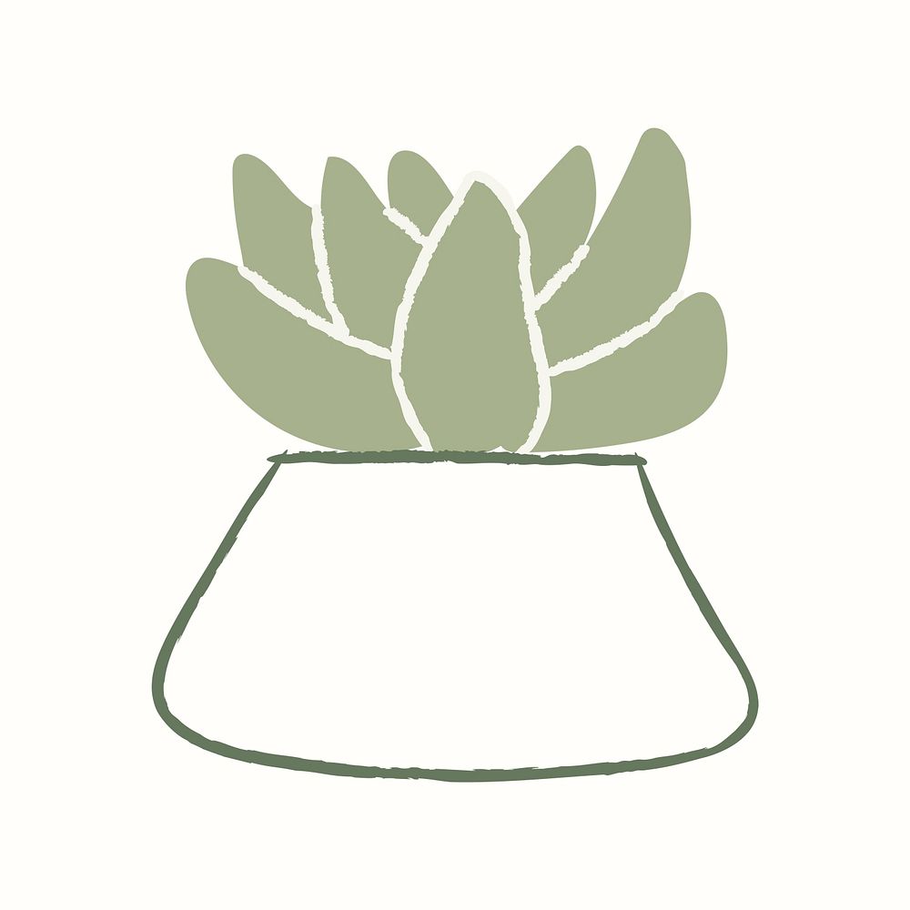 Succulent houseplant psd doodle hand drawn