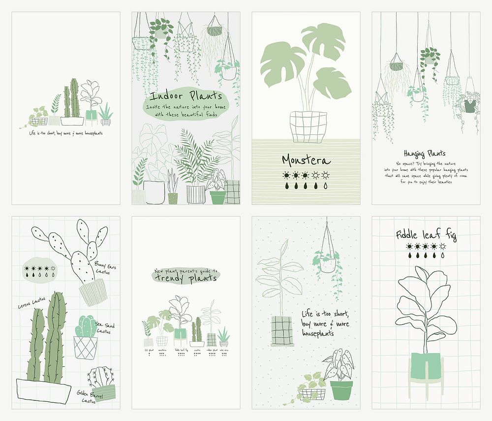 Houseplant botanical template vector set for social media story