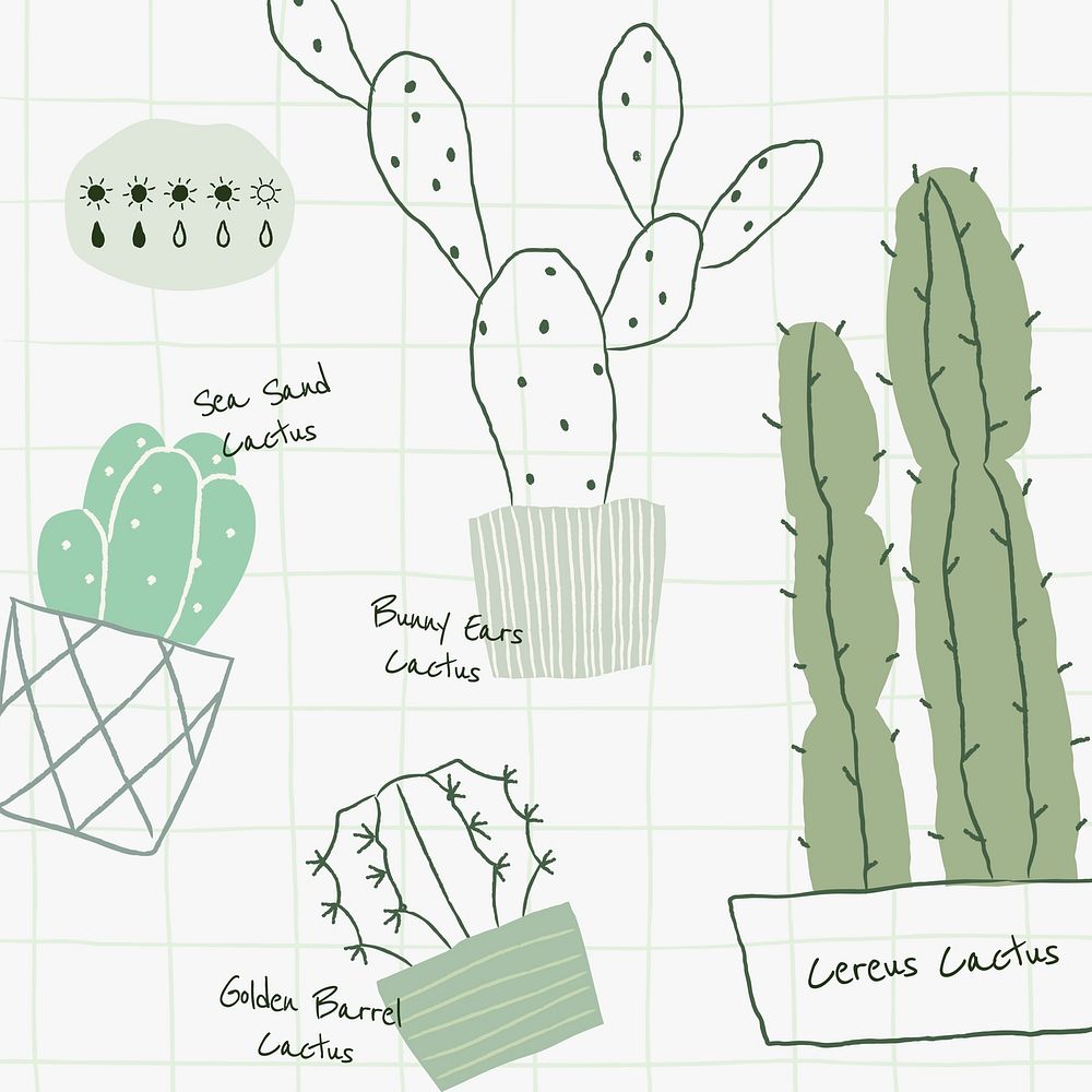 Cactus houseplants doodle watering chart 
