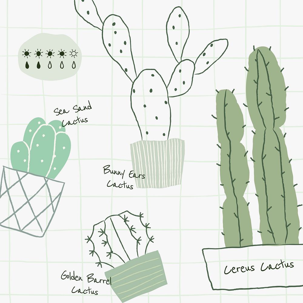 Cactus plant watering chart template vector 