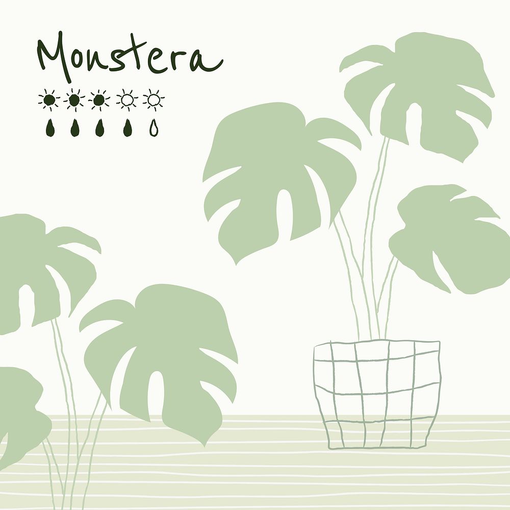Monstera houseplant simple doodle watering chart