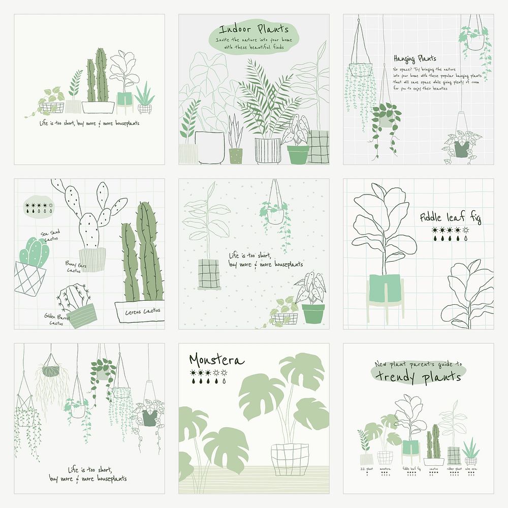 Houseplant botanical template vector set for social media