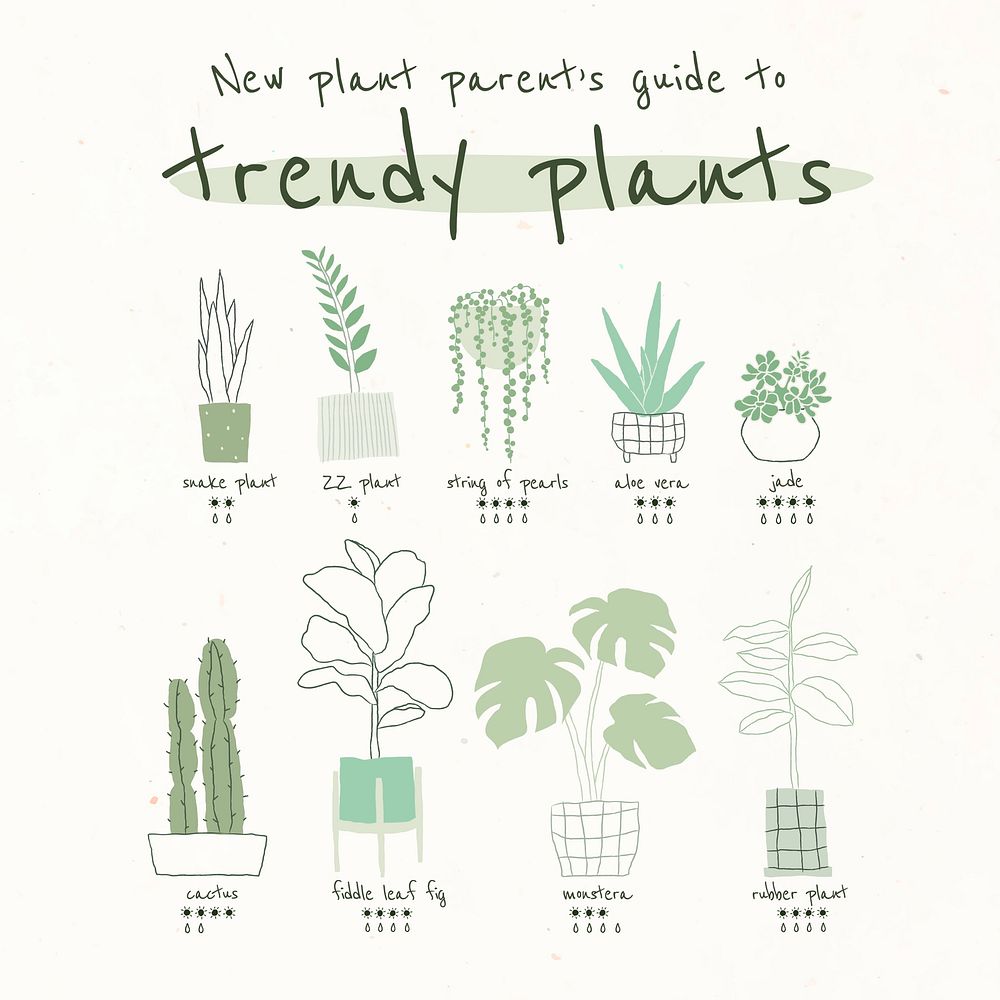 Trendy houseplant guide template vector for social media