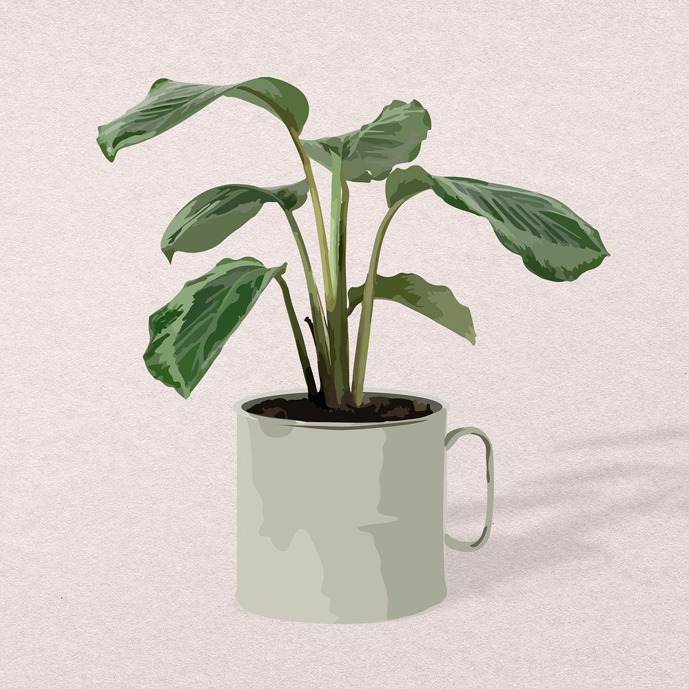 Houseplant psd image, Calathea plant potted home interior decoration