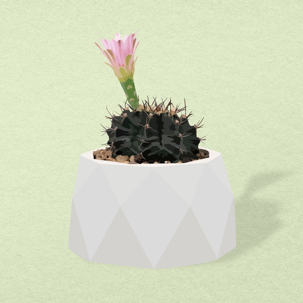 Potted plant psd image, Hedgehog cactus potted home interior decoration