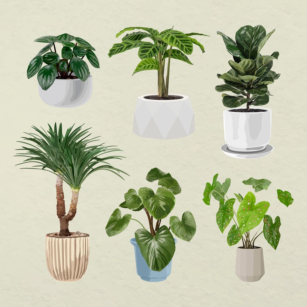 Plant vector art, Houseplant set in flower pots