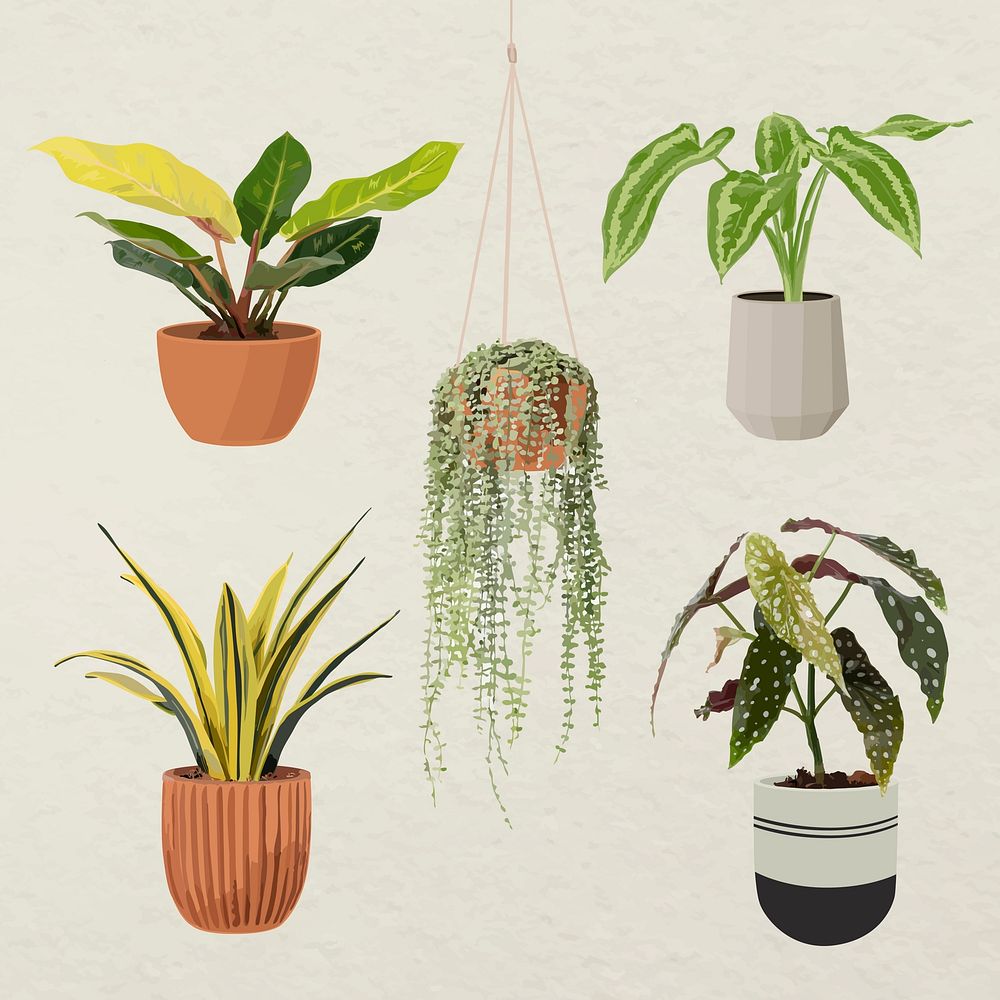 Plant vector art set, houseplant in a flower pot