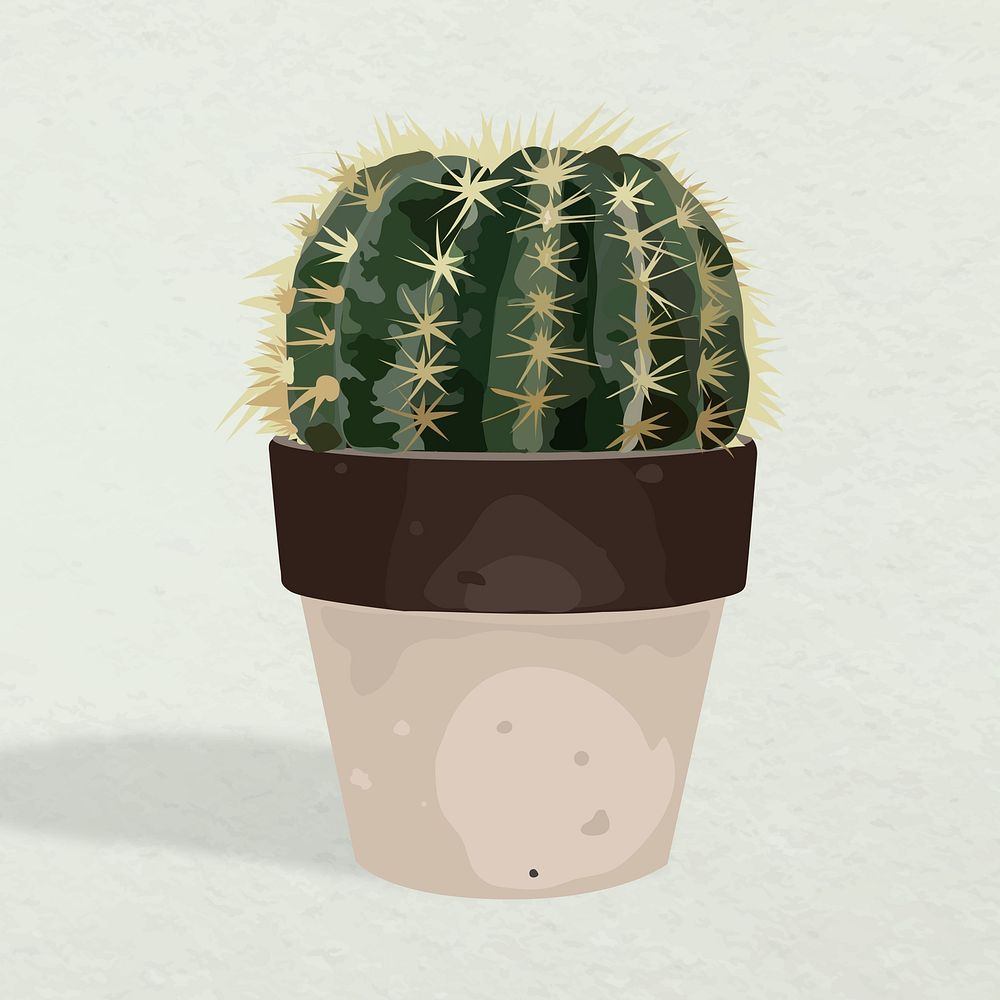 Plant vector art, cactus pot