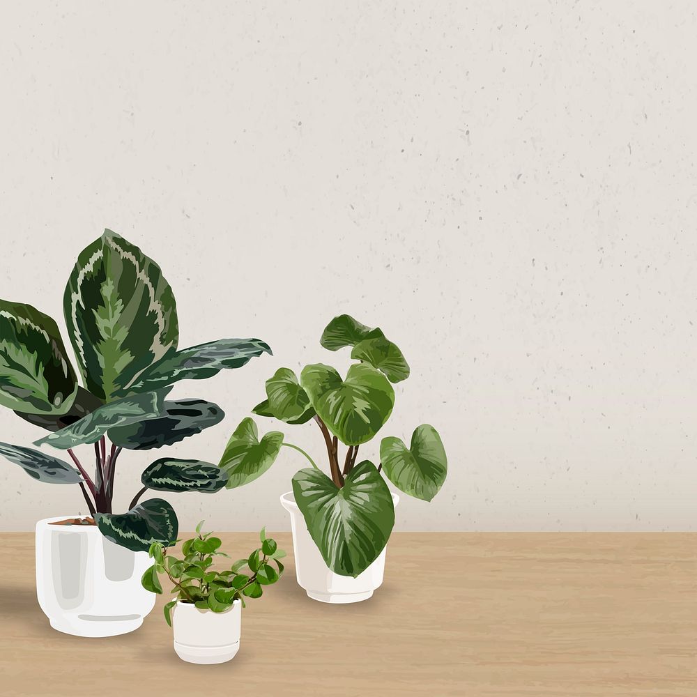 Houseplant background psd wallpaper with blank wall