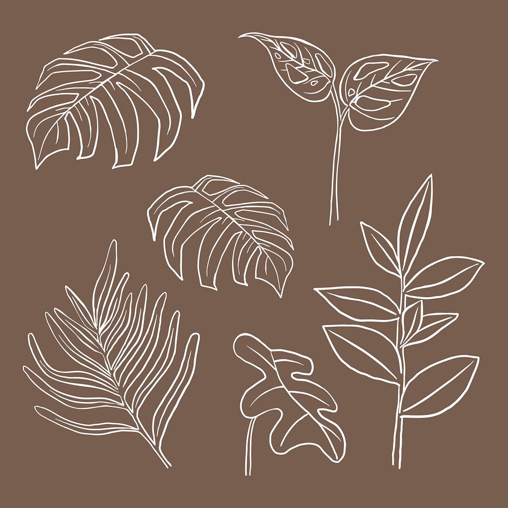 Tropical leaf PSD doodle botanical illustration set