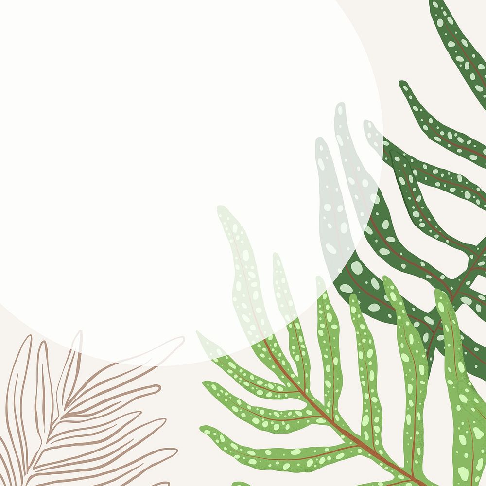 Frame psd fern leaf tropical botanical illustration