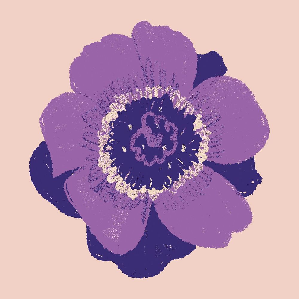 Anemone purple flower sticker psd hand drawn illustration