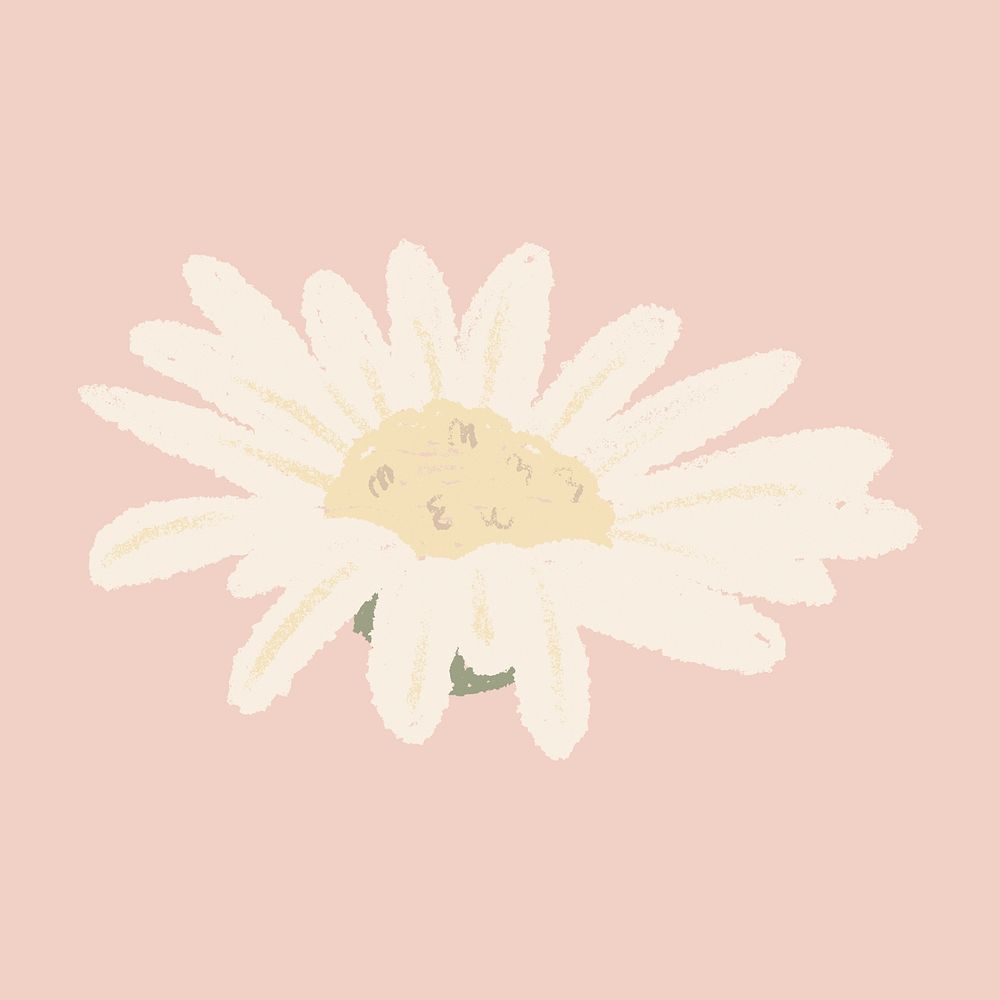 Daisy white flower sticker psd hand drawn illustration