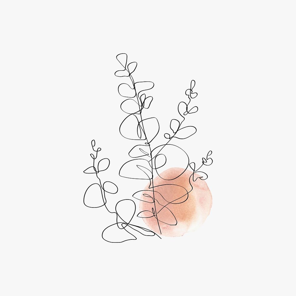 Eucalyptus leaf vector line art minimal orange pastel illustration