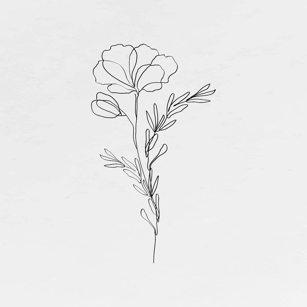 Poppy flower vector line art minimal black illustration