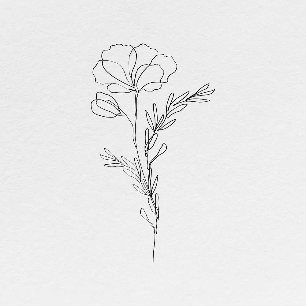 Poppy flower psd line art minimal black illustration