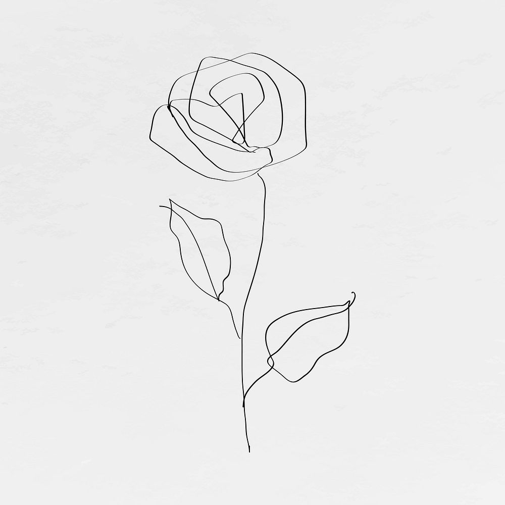 Rose flower vector line art minimal black illustration