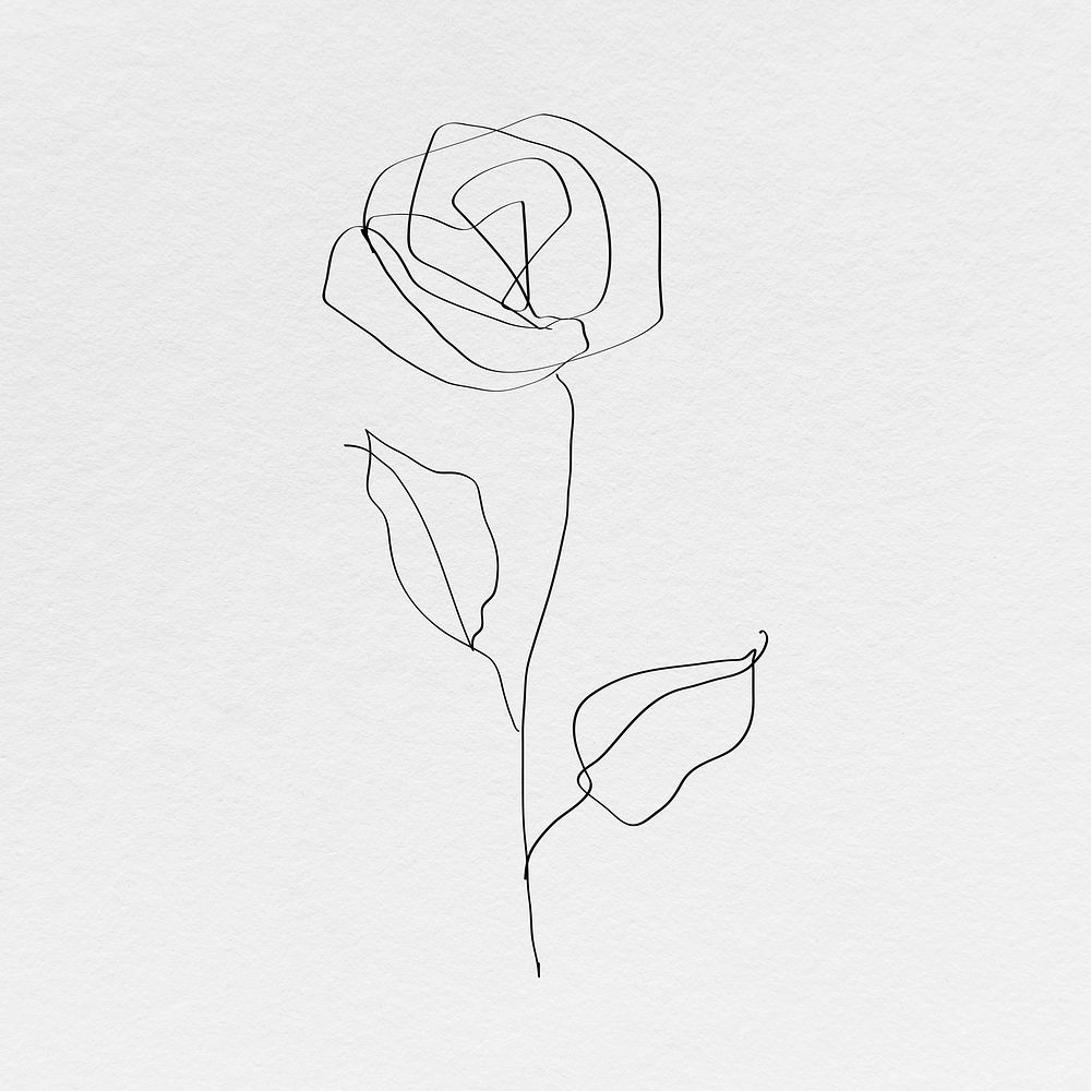 Rose flower psd line art minimal black illustration