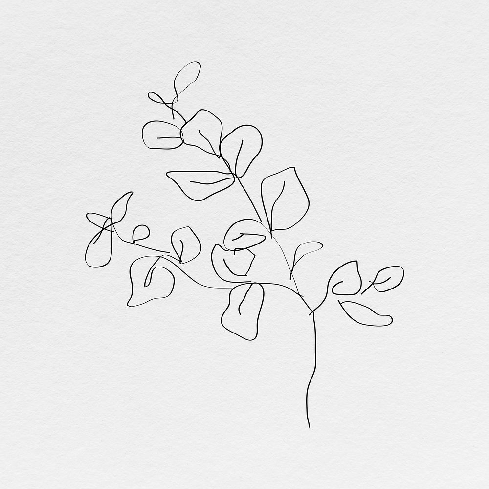 Leaf psd line art minimal black illustration