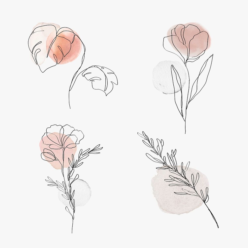 Flowers line art vector botanical watercolor minimal illustration set