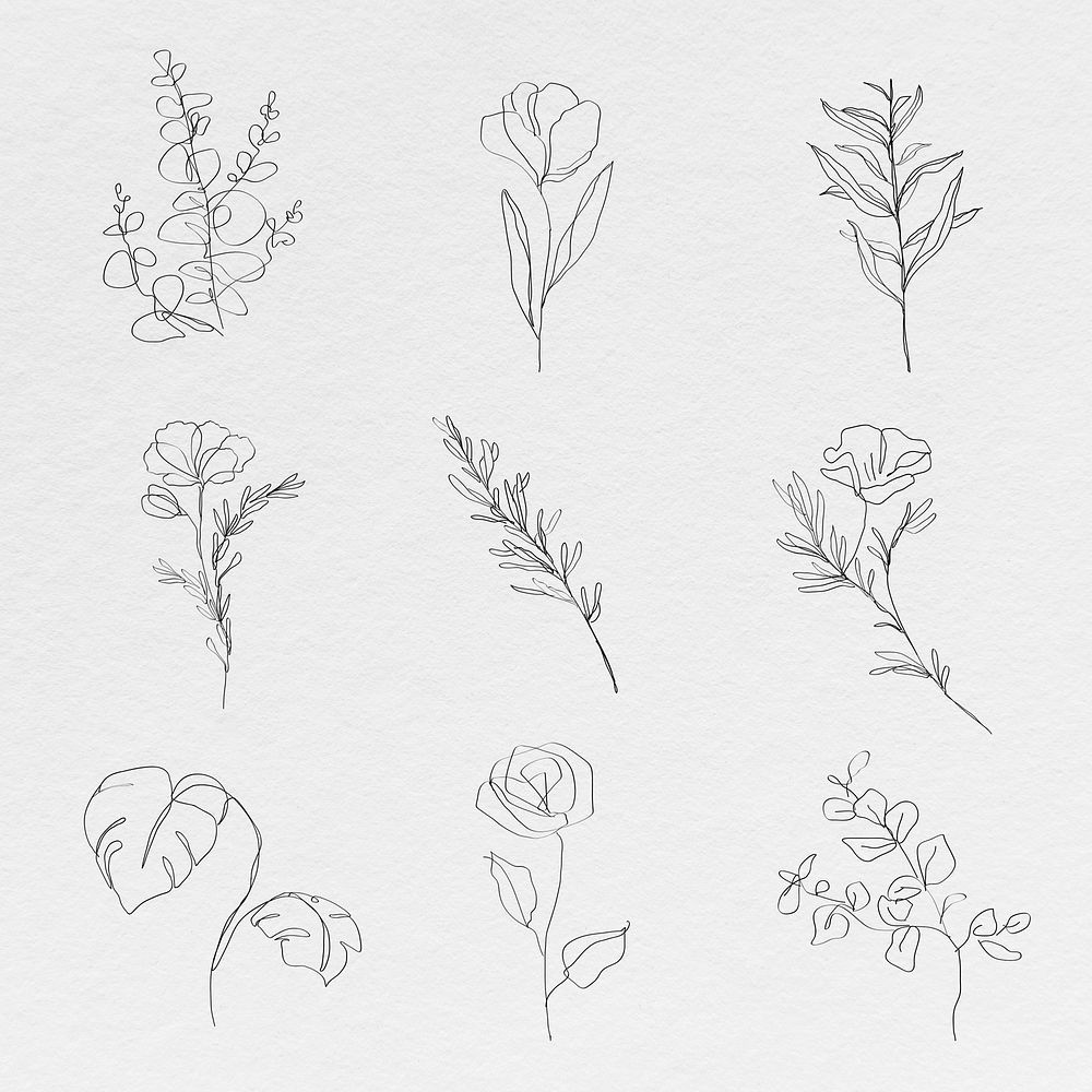 Botanic line art flowers psd minimal abstract drawings collection