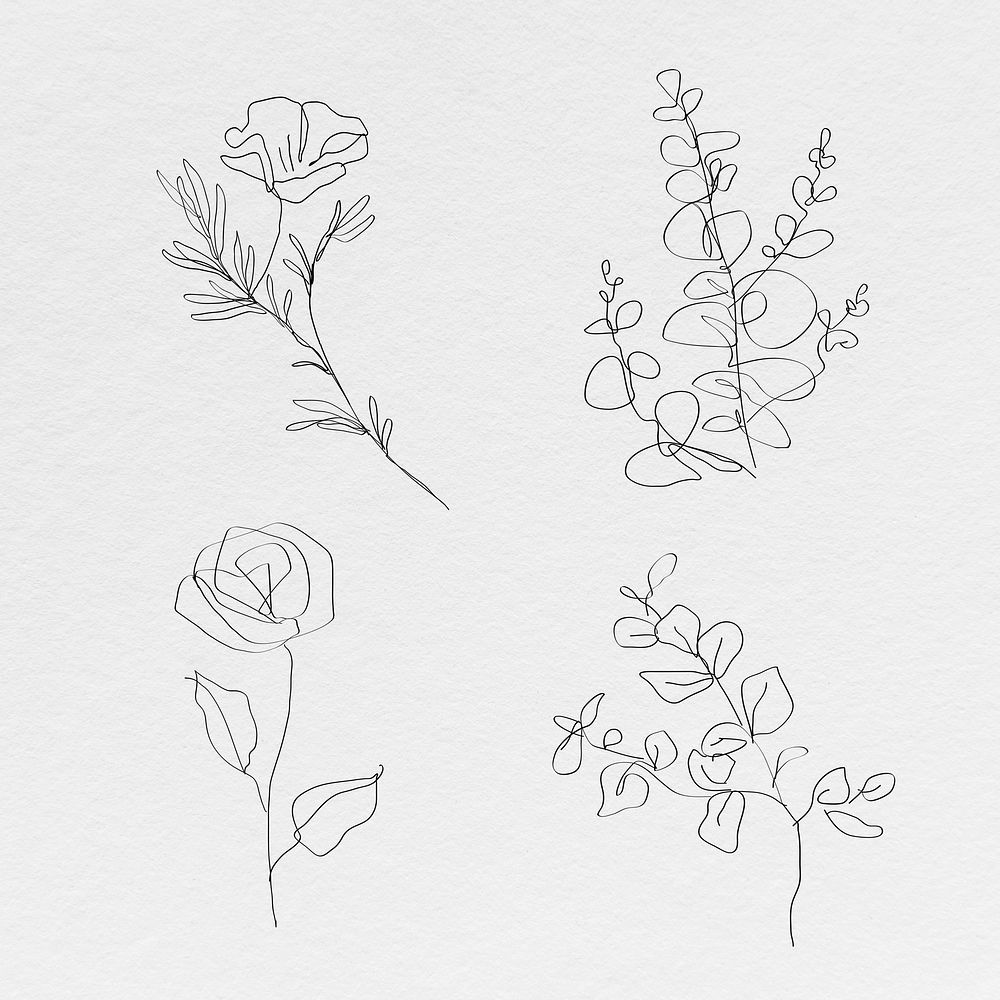 Botanic line art flowers psd minimal abstract drawings collection