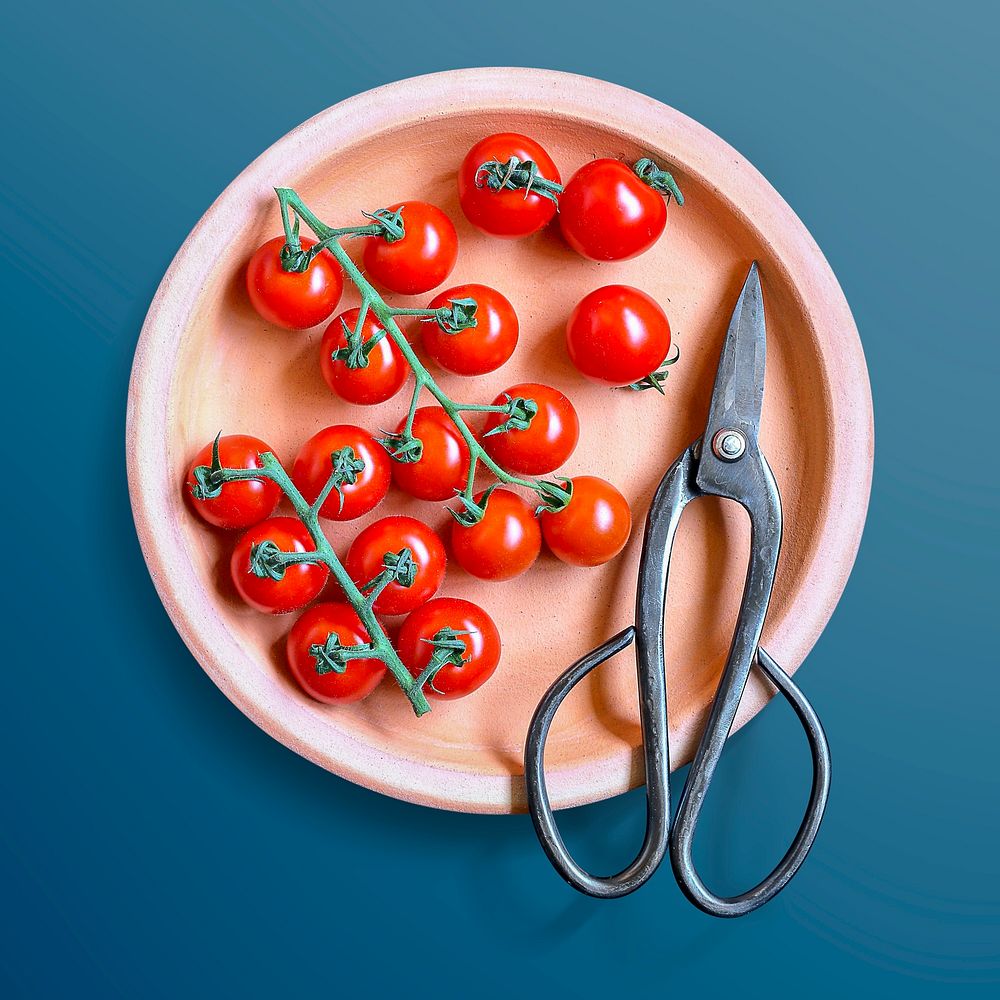 Red tomatoes with Japanese scissors on a plate, food photography, flat lay style