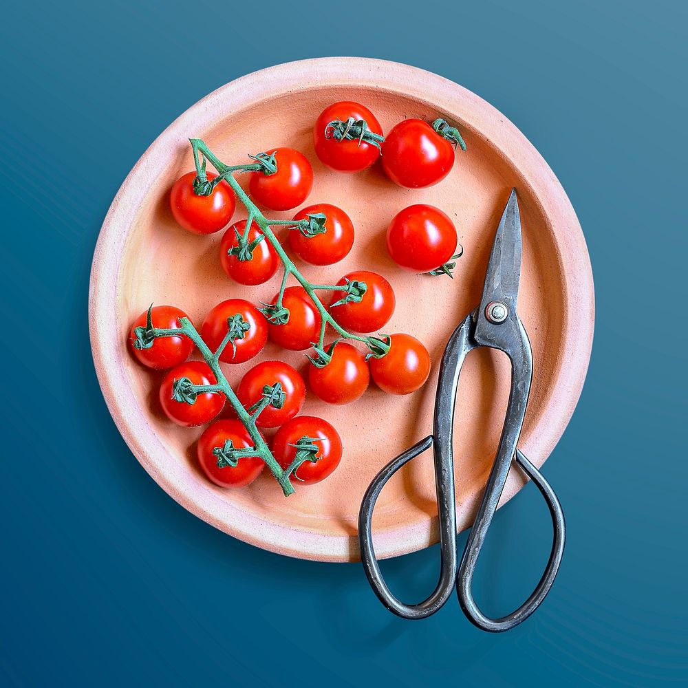 Cherry tomatoes on a plate | Free PSD - rawpixel