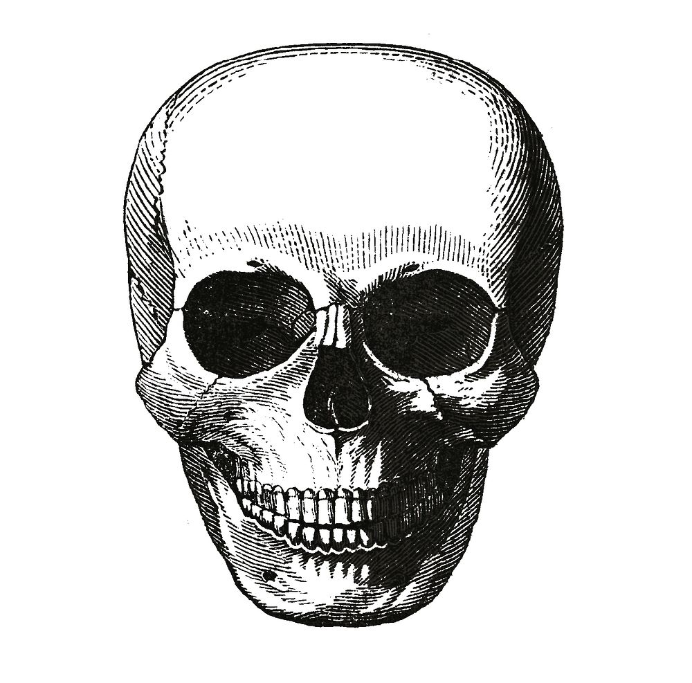 Vintage llustration of skull published in 1843 by John Lloyd Stephens (1805-1852).