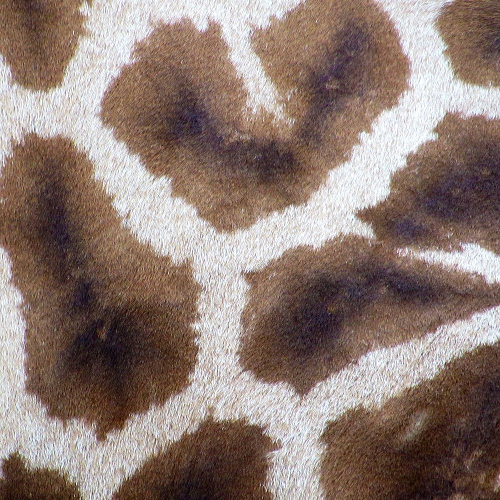 Giraffe pattern texture, animal close up background