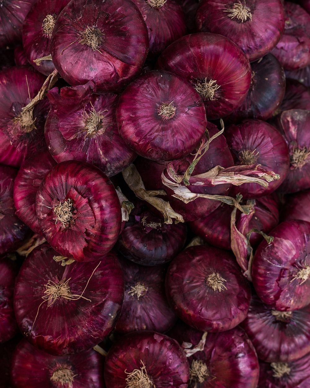 Free pile of red onions photo, public domain food CC0 image.