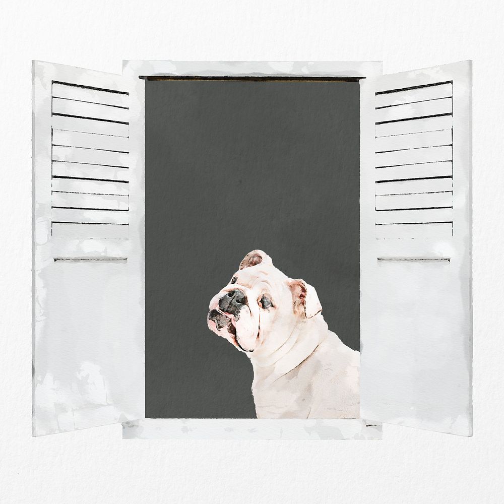 Bulldog looking out window clipart, pet illustration
