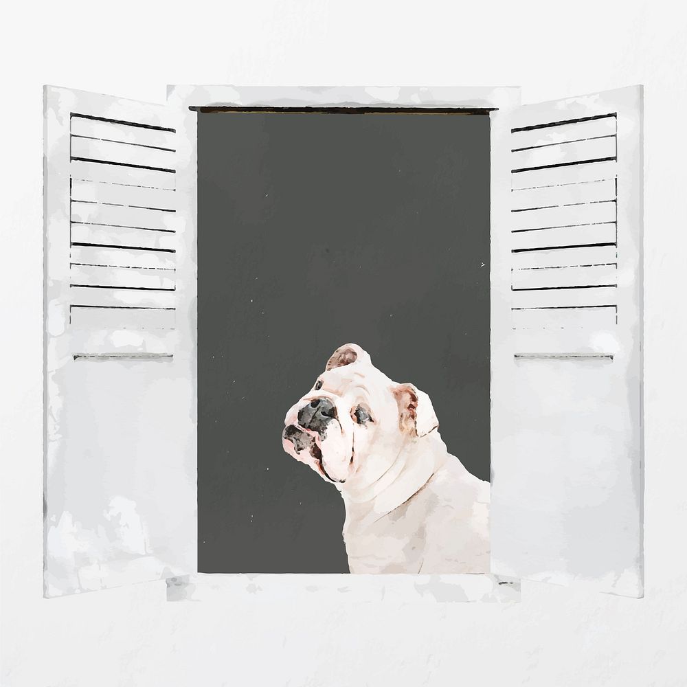 Bulldog looking out window clipart, pet illustration vector