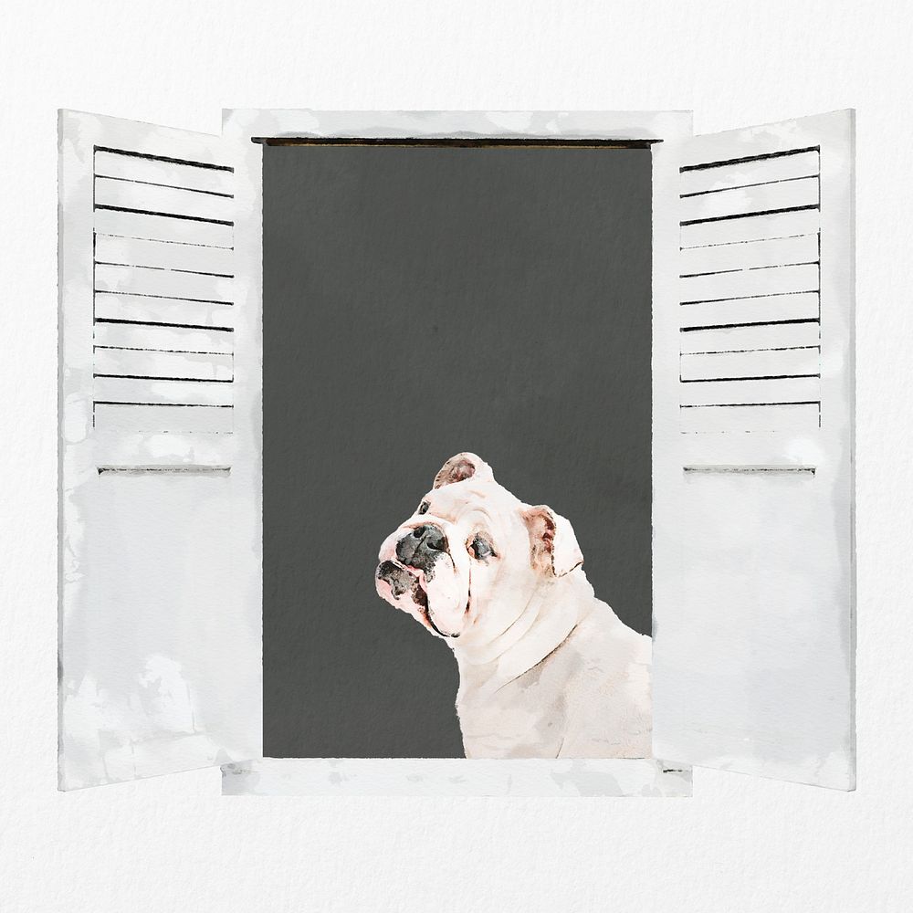 Bulldog looking out window clipart, pet illustration psd