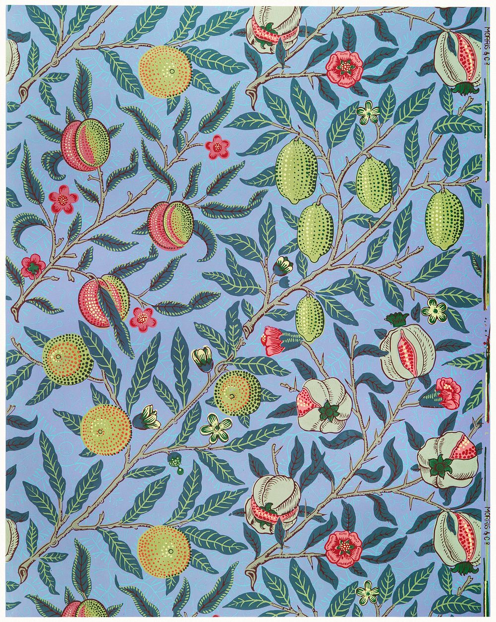 William Morris (1834-1896)'s Fruit or Pomegranate. Famous wallpaper, original from The MET Museum. Digitally enhanced by…