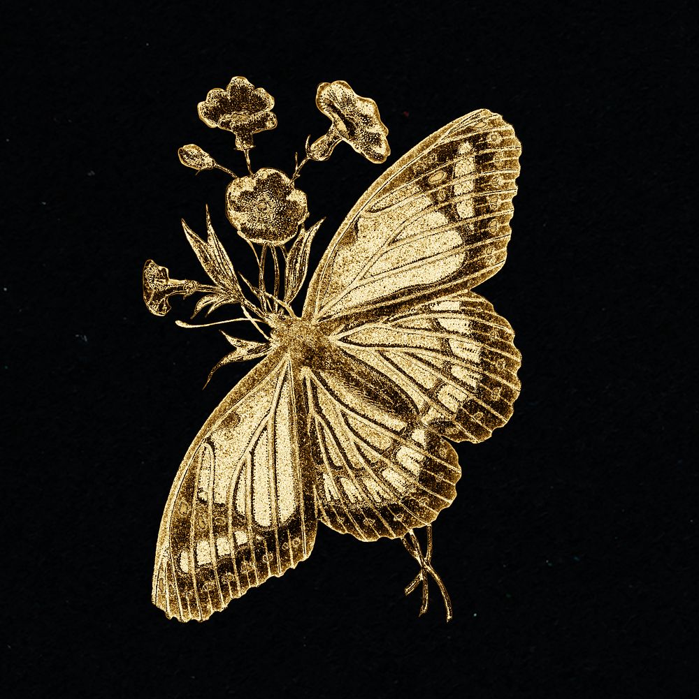 Vintage gold butterfly design element