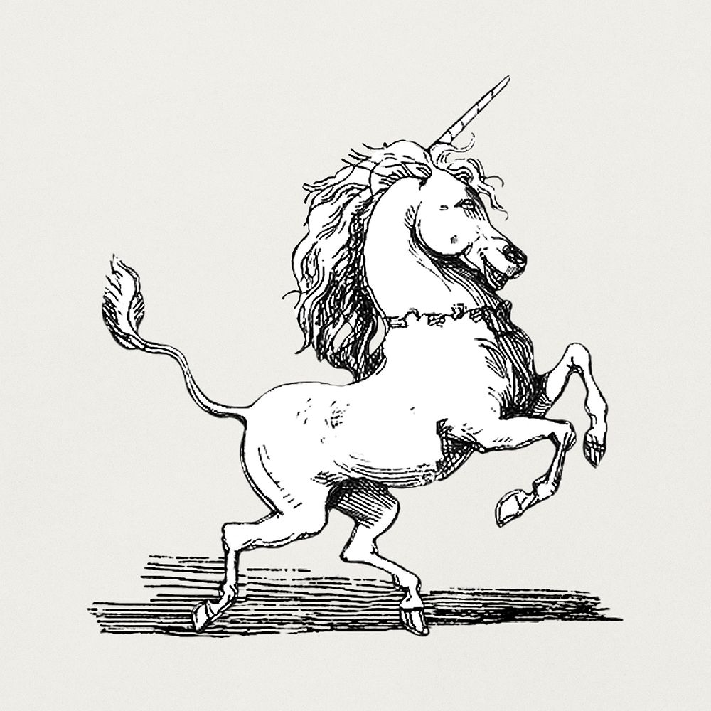 Unicorn from Pictures of Extra Articles and Visitors to the Exhibition ca.1851 by Richard Doyle. Original from The MET…