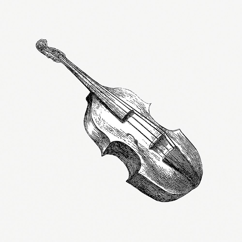 Vintage violin illustration