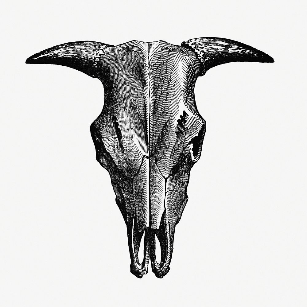 Vintage European style animal bone engraving