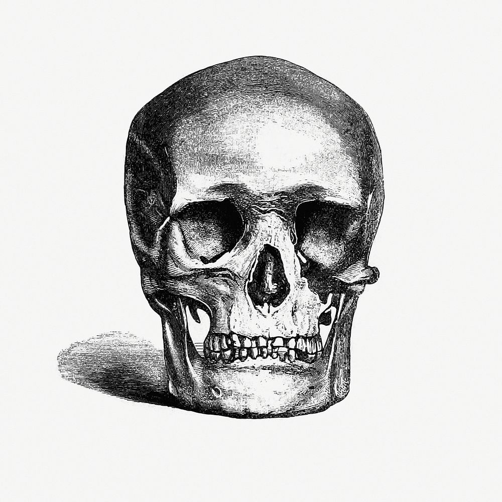 Vintage European style skull engraving from Annals of Winchcombe and Sudeley by Emma Dent (1877). Original from the British…