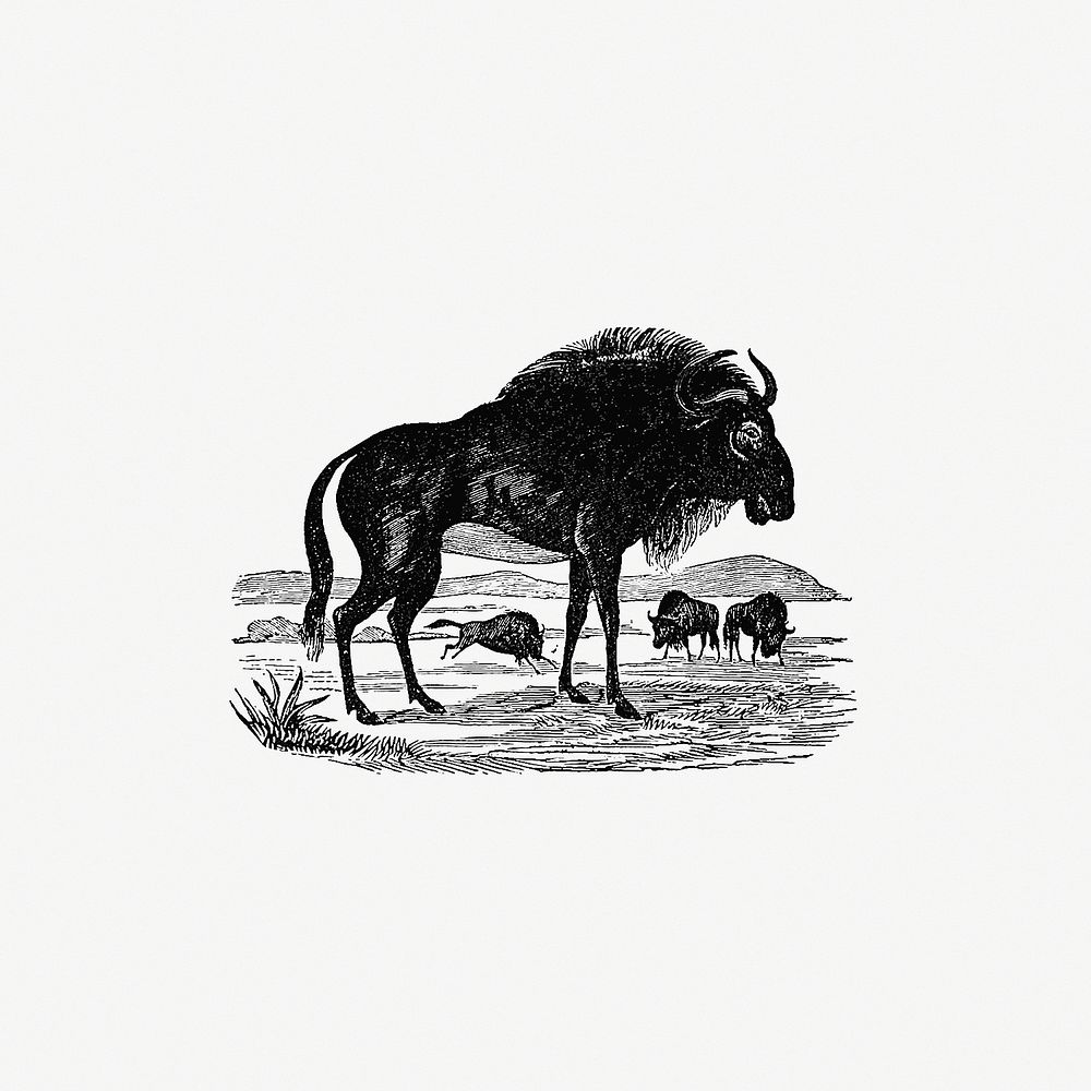 Drawing of wildebeest