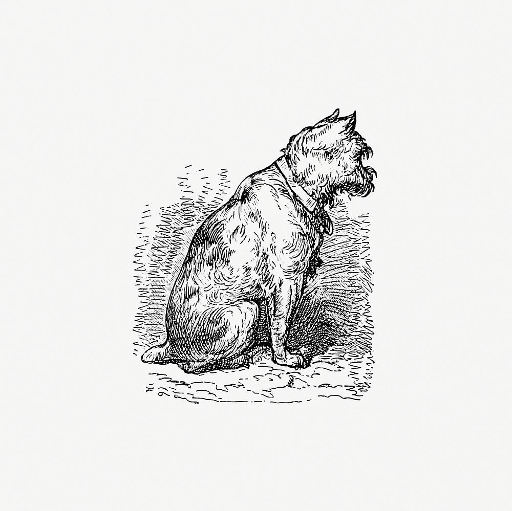 A sitting dog from The New Hyperion. From Paris to Marly by way of the Rhine (1875) published by Edward Strahan. Original…