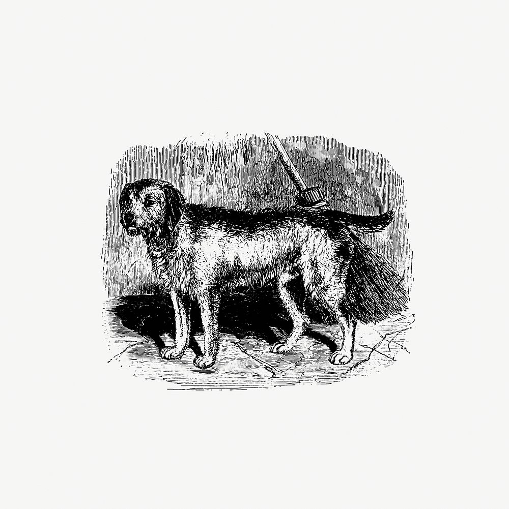 Retriever for loch-shooting published by William Blackwood & Sons (1840). Original from the British Library. Digitally…