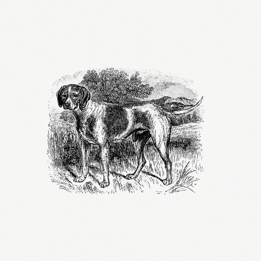 Rustic pet dog published by William Blackwood & Sons (1840). Original from the British Library. Digitally enhanced by…