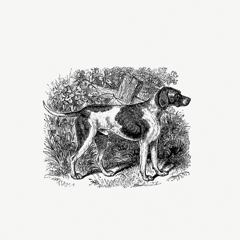 Rustic pet dog published by William Blackwood & Sons (1840). Original from the British Library. Digitally enhanced by…