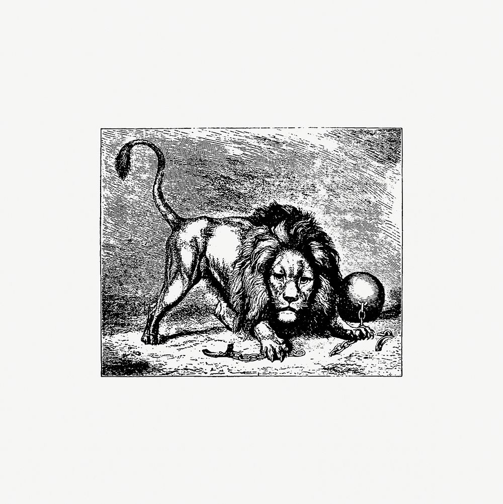 Lion from Brussels Through The Ages. Third Volume... by Henri Hymans (1882). Original from the British Library. Digitally…