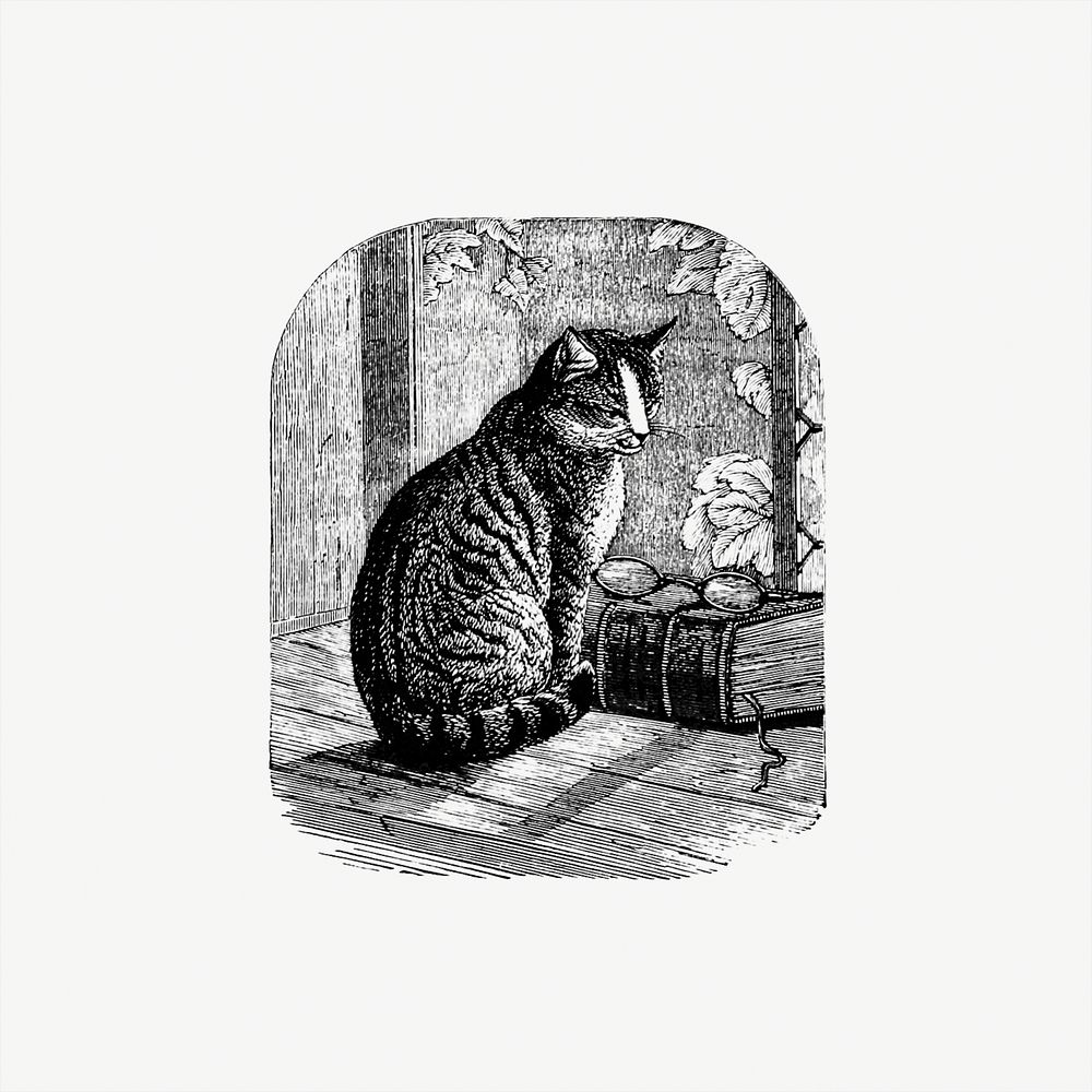 Domestic cat from Aileen Aroon, A Memoir Of A Dog. With Other Tales Of Faith Friends And Favourites, Sketched From The Life…